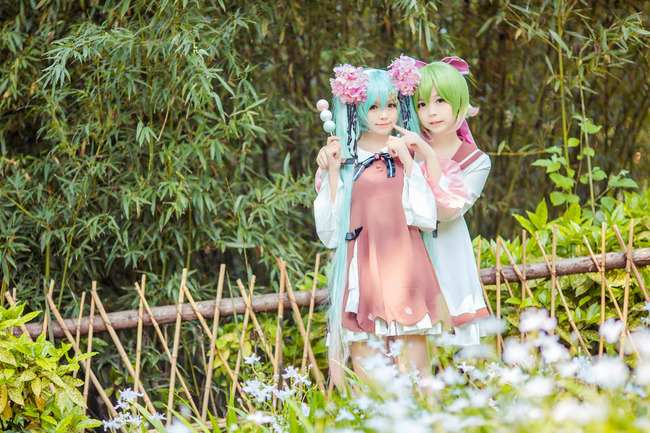 [cosplay]MIKU*GUMI 同人樱花装[二次元cos]
