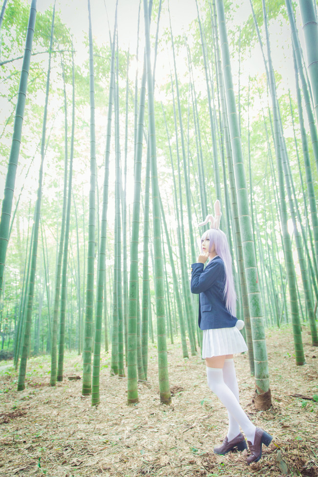 [cosplay]铃仙·优昙华院·因幡[二次元cos]